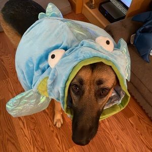 Blowfish Pet Costume - Size Extra Large